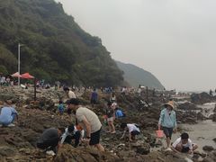 -西涌国际滨海旅游区