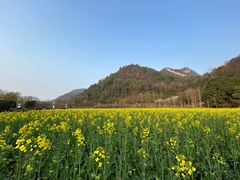 -贵阳市花溪国家城市湿地公园