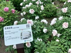 -仁和公园(顺义区)