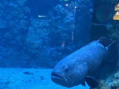 -海合安青岛极地海洋公园