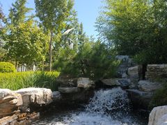 -南宫五洲植物乐园