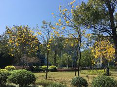 -中国移动南方基地