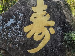 -天鹿湖森林公园