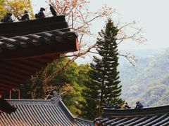 -飞霞风景名胜区