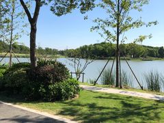 -昆山城市生态森林公园