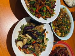 -柴窝堡22号辣子鸡·传承新疆菜