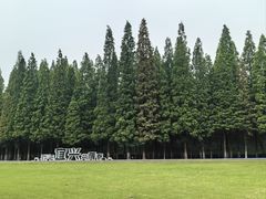 -宜兴龙背山森林公园