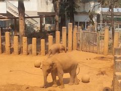-昆明动物园