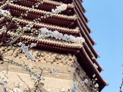 -玲珑塔公园
