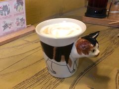 -猫猫幼稚园·撸猫·桌游·电玩