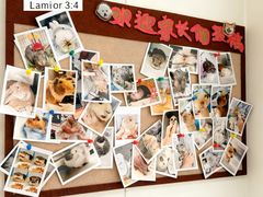 -立德异宠动物医院.兔鸟爬.内窥镜(天河店)