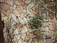 -森SPA·泰式按摩·精油Massage(宝安中心店)
