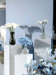 -明典婚礼策划·婚车租赁·婚纱摄影