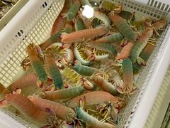 -南沙十九涌渔人码头-南门