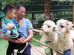 -秀丽东方