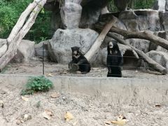 -清迈夜间动物园