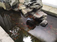 -麦大叔·福建客家菜(东百中心MINI店)