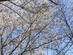 -江南大学(蠡湖校区)