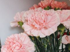 -北边的花店(泛悦城市广场店)