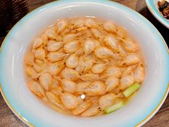盐水煮白虾-锡和无锡菜(景丽苑店)