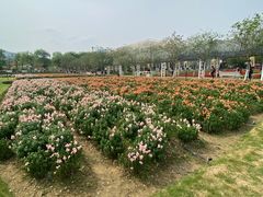 -盈香心动乐园