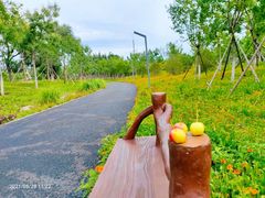 -永定河休闲森林公园