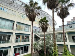 -沈坚强游泳俱乐部(长征分部)