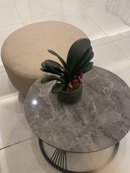 -御品•瑶浴灸疗SPA
