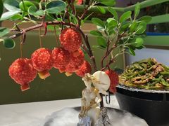 -奔跑吧陕菜·盛世长安(民乐园万达店)