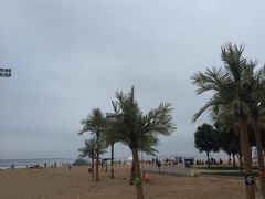 -金梦海湾浴场
