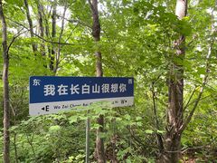 -长白山万达国际度假区