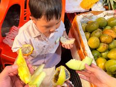 -三亚新鸿港水果一级批发市场