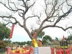 -嬉乐湾休闲旅游区
