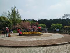 -嘉定紫藤园