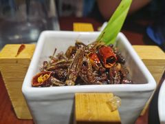 -觅山云南菜(泊富ICITY店)