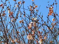 -毛泽东同志旧居