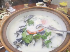 -全乐鱼馆·淳牌有机鱼直营店