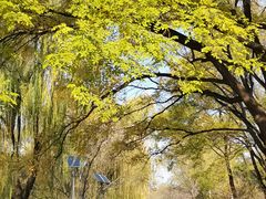 -元大都城垣遗址公园