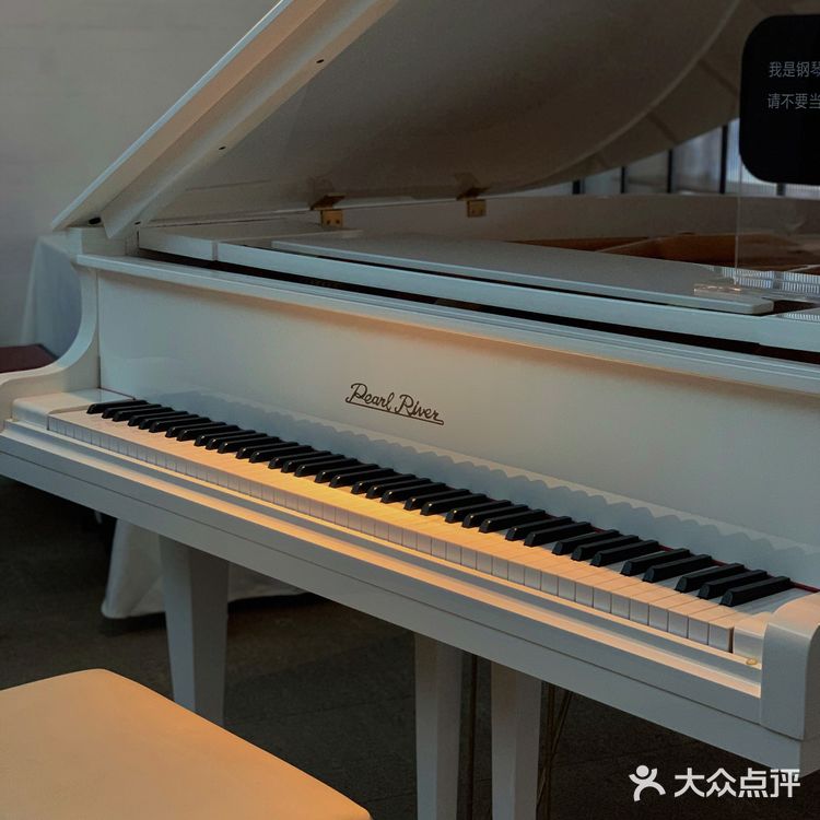 寻味顺德|六粤源味|🆘老板也太会做私房菜了吧!