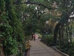 -九龙公园