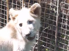 -泉州海丝野生动物世界