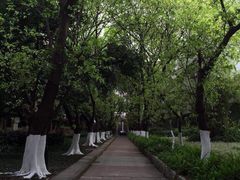 iphone_upload_pic-中山大学学者灵芝(园南路店)