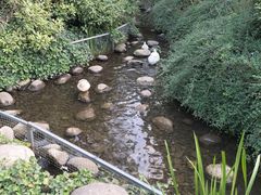 -太白山御龙湾温泉