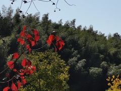 -塔川景区