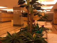 -东方之珠洗浴休闲广场(大港店)