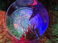 -沈阳海洋探索中心