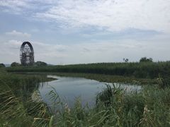 -太湖湖滨国家湿地公园-停车场