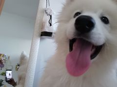 -宠福鑫康馨动物医院·骨科·眼科