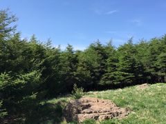 -白草畔自然风景区