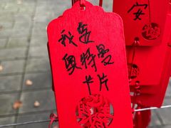 -安吉竹博园